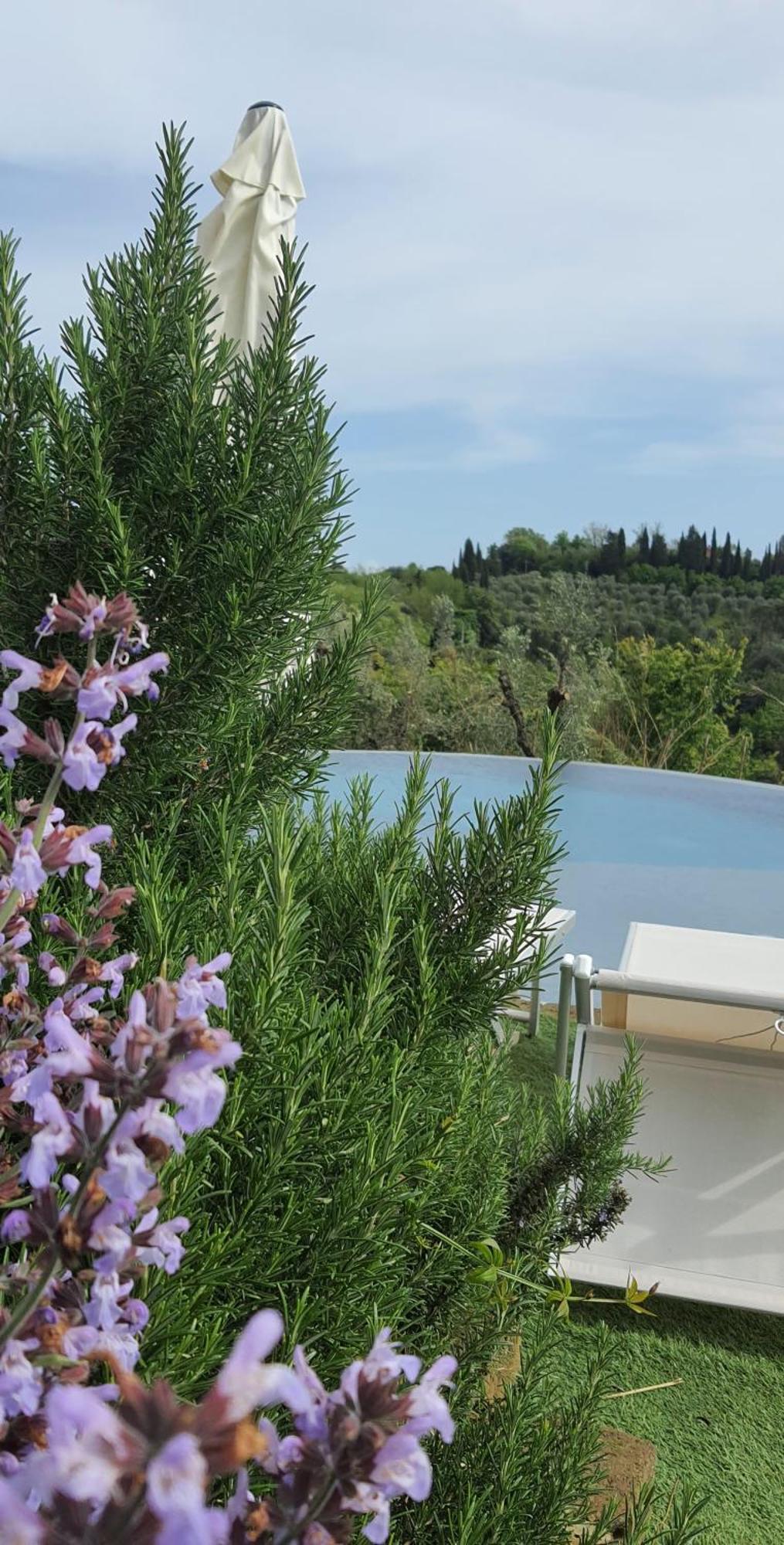 Villa In Campagna Costa Al Bagno Montopoli in Val d'Arno Bagian luar foto