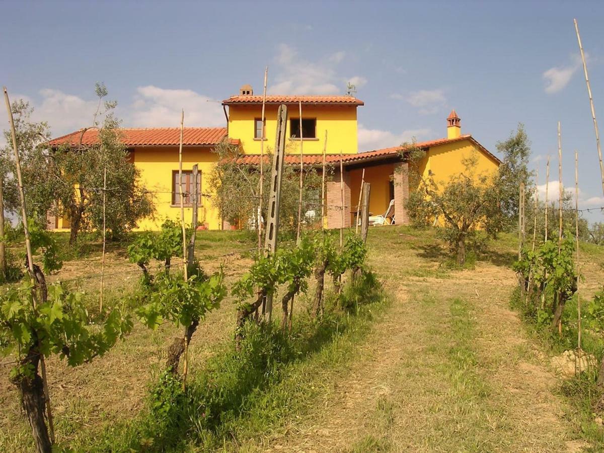 Villa In Campagna Costa Al Bagno Montopoli in Val d'Arno Bagian luar foto