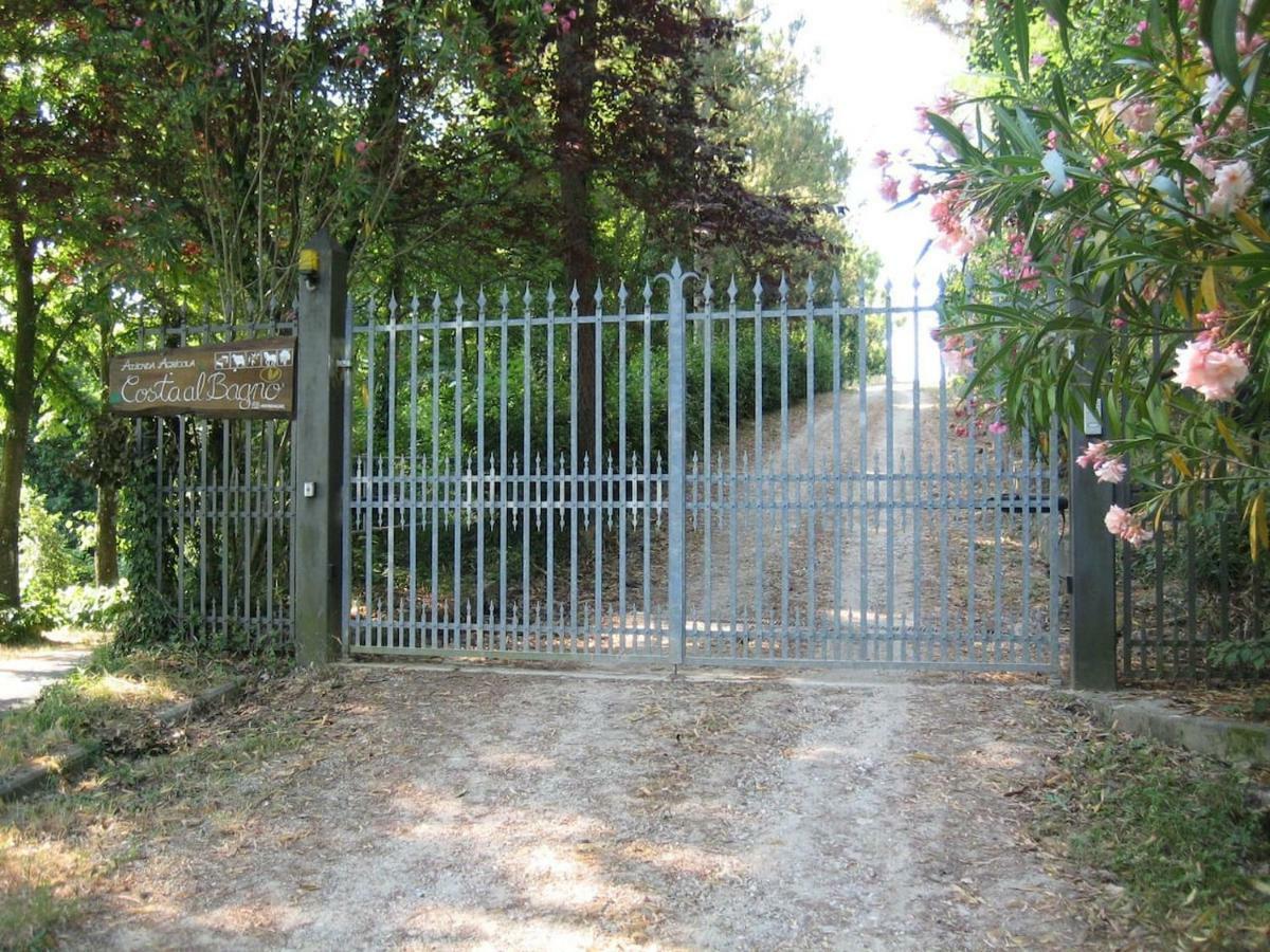 Villa In Campagna Costa Al Bagno Montopoli in Val d'Arno Bagian luar foto